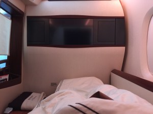 Photo 11-11-14 12 01 17