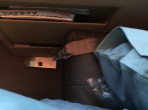 Photo 15-11-14 16 36 37