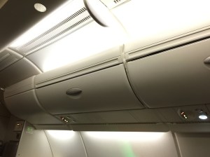 Overhead bins at the window seats
