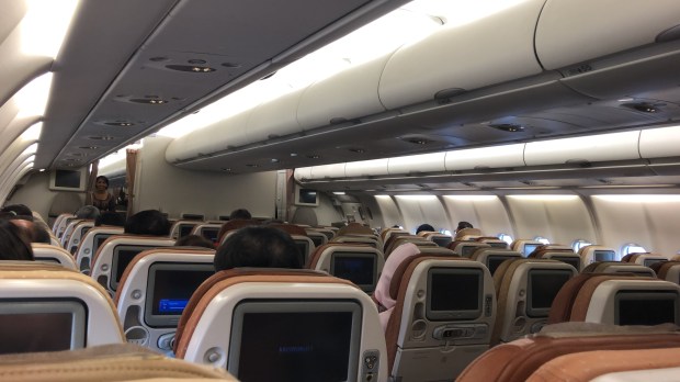 D6A7E306-768A-4195-BB6B-B125C0C609DB